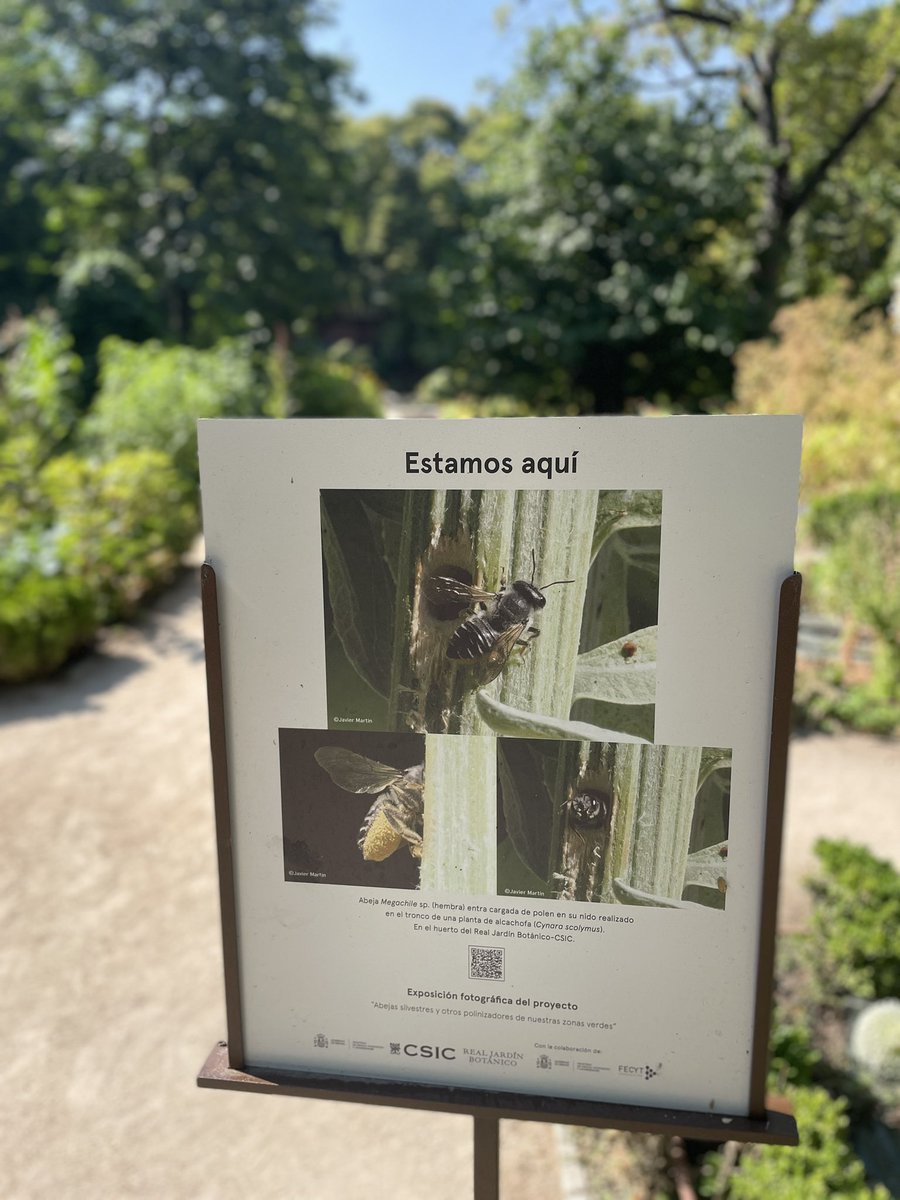 REAL JARDÍN BOTÁNICO tweet media