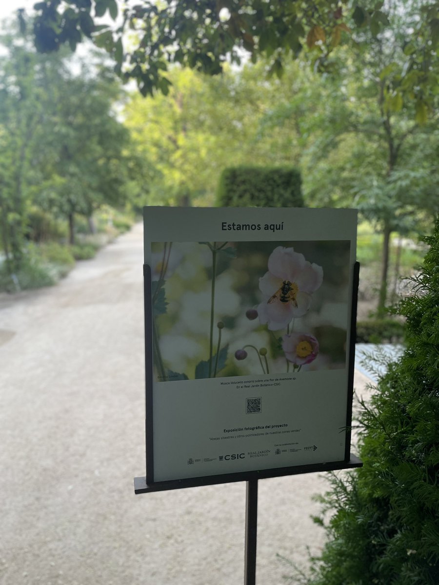 REAL JARDÍN BOTÁNICO tweet media