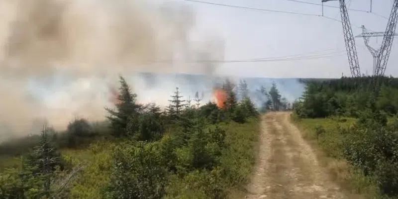 VOCM News tweet media