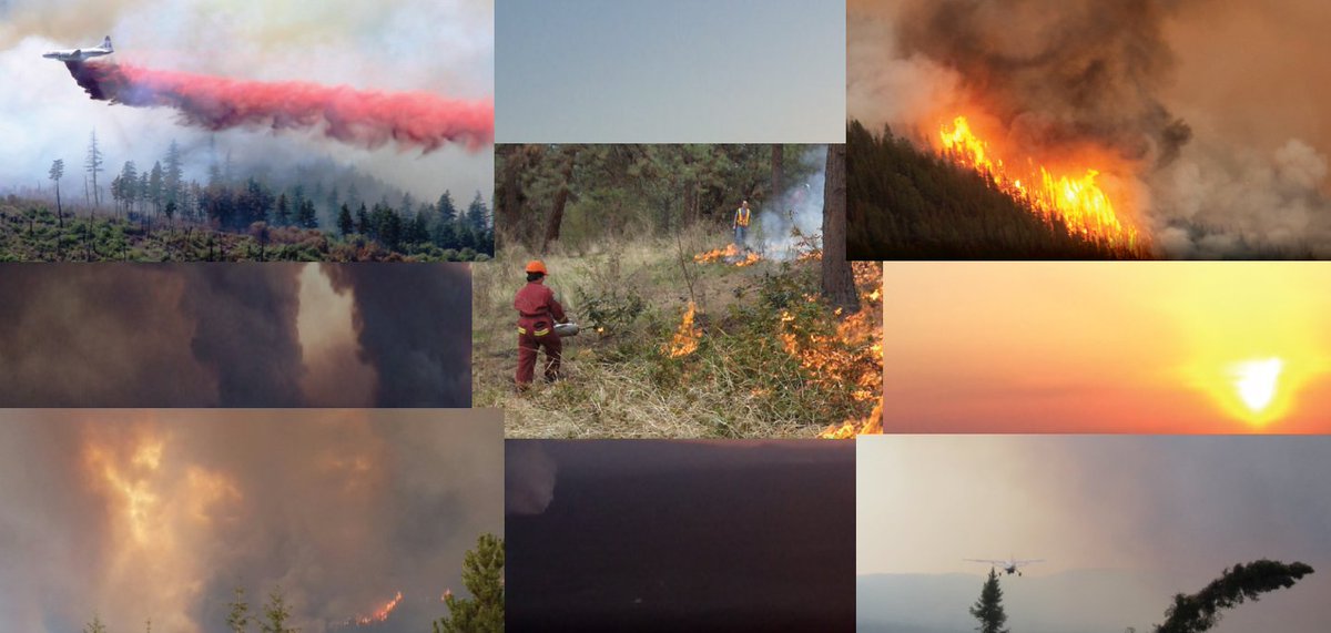 DriveBC's tweet photo. ❗️For the latest on the BC #wildfire situation, be sure to follow @BCGovFireInfo and click on the link below.
ℹ️https://t.co/wxrOkEN7HC https://t.co/iPwiwwF2Lw