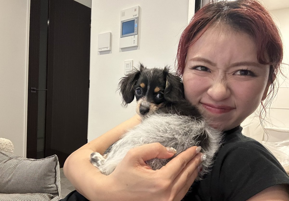 にこちゃんもｻﾁｺも可愛すぎ❤❤❤ ちゃんとｻﾁｺもカメラ目線🐶 伏せでき