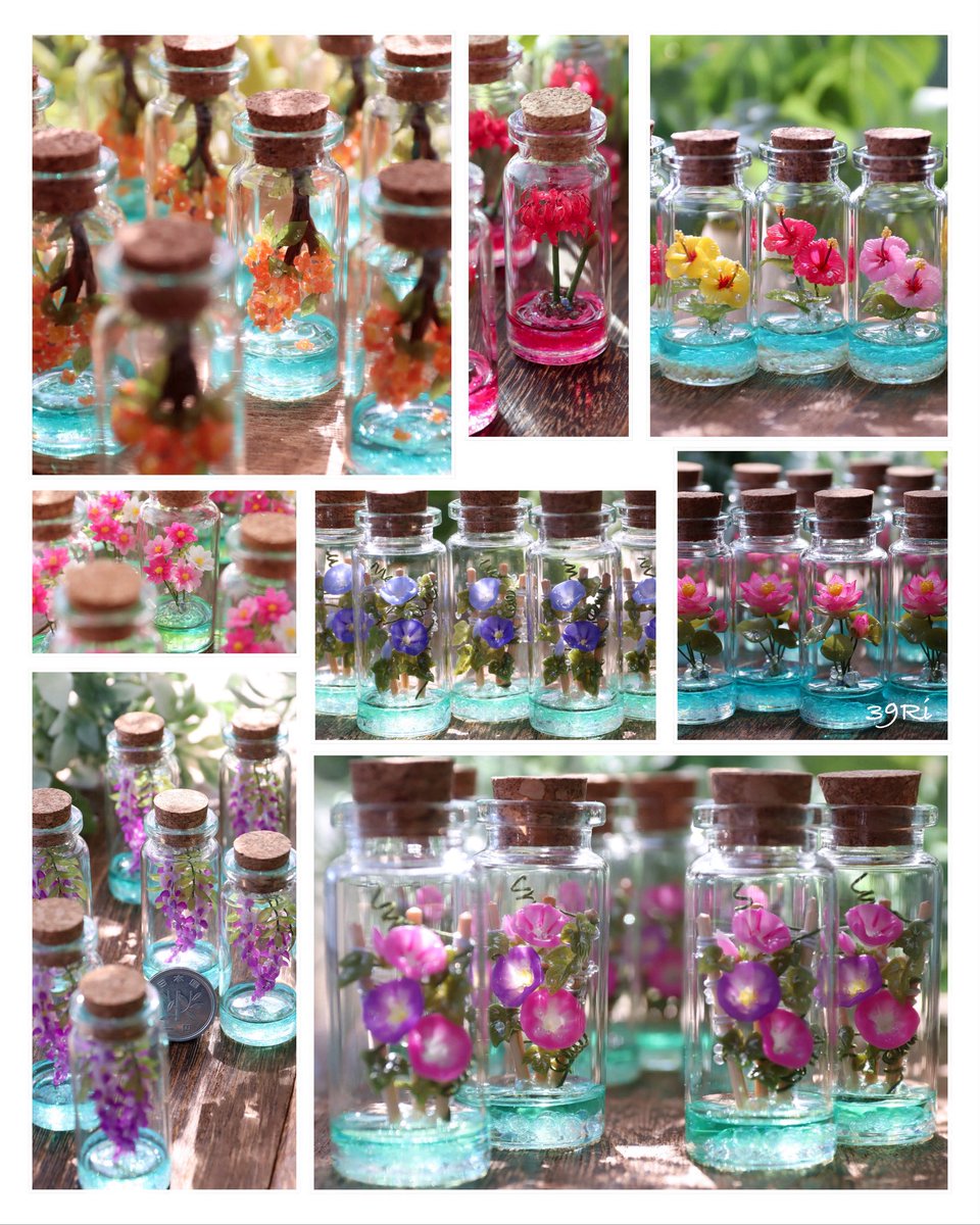 #これから絶対伸びるので今のうちにフォローしておいた方がいいですよ

小さな世界がお好きな方へ•*¨*•.¸¸🌼*･ﾟ