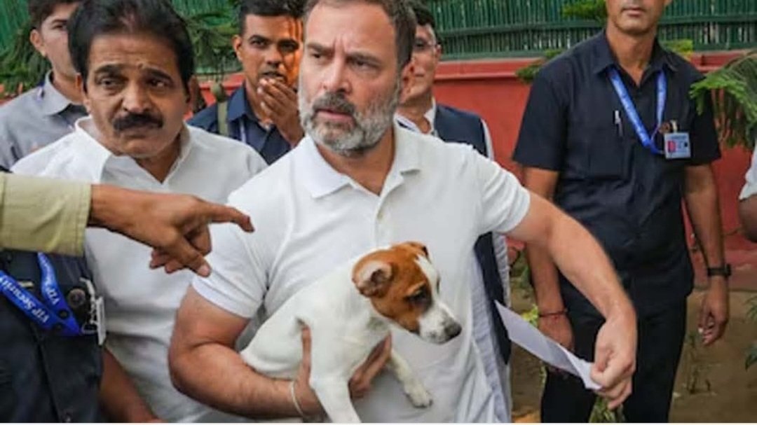 असली लीडर वही है जिसके दिल में सभी के लिए संवेदना हो. #savedelhidogs #savedelhincrdogs2025 #SupremeCourtofIndia
