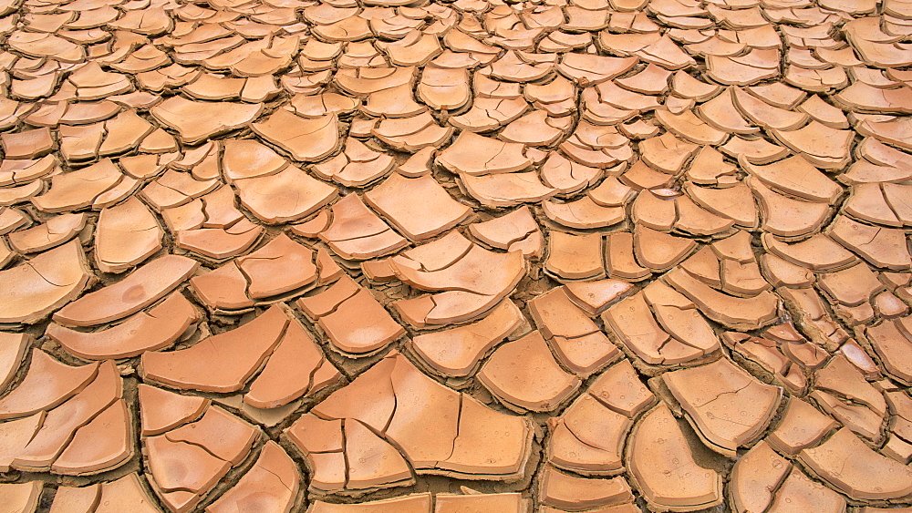 “Global Warming in Focus” A striking new gallery showcasing the real-world effects of climate change: melting glaciers, extreme droughts, polar landscapes under threat… A must-see for storytellers and sustainability advocates. View it now: robertharding.com/gallery/global…
#ClimateAction