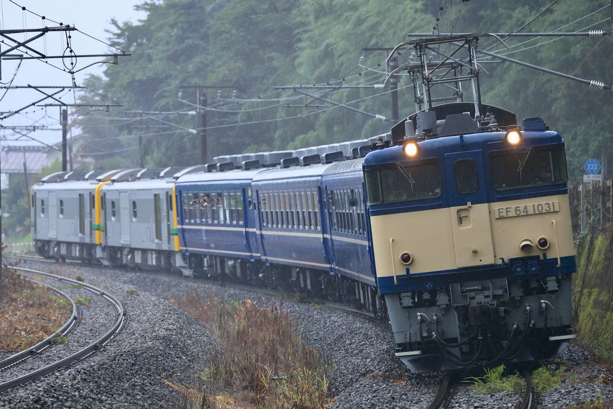 641000mania's tweet image. 2025.8/10.11
8137D〜9136レ(GV・SLぐんま横川)※復路EL代走
GV-E197系TS08編成+12系+EF64-1031

長岡64が夏の信越線高崎口へ。
所属違えどあの頃の日常が戻ってきたようで終始感動🥲
撮影されてた方々ならびにお会いした方々お疲れ様でした。