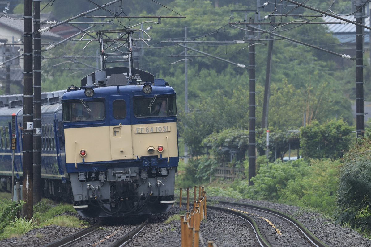 641000mania's tweet image. 2025.8/10.11
8137D〜9136レ(GV・SLぐんま横川)※復路EL代走
GV-E197系TS08編成+12系+EF64-1031

長岡64が夏の信越線高崎口へ。
所属違えどあの頃の日常が戻ってきたようで終始感動🥲
撮影されてた方々ならびにお会いした方々お疲れ様でした。