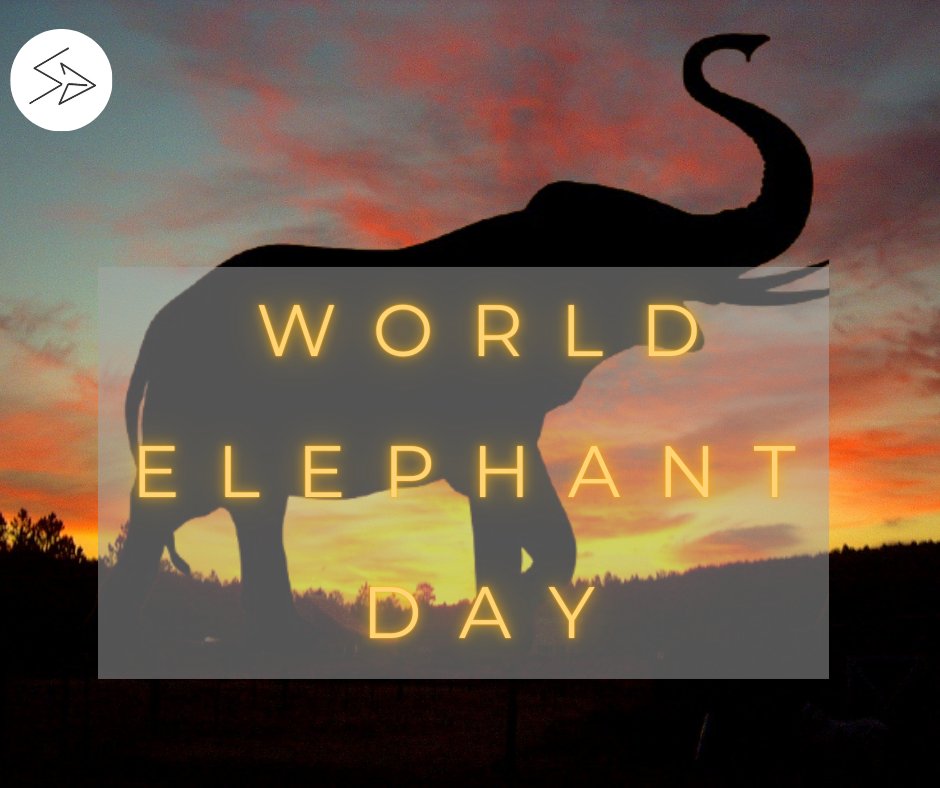 Happy World Elephant Day 🐘🎨