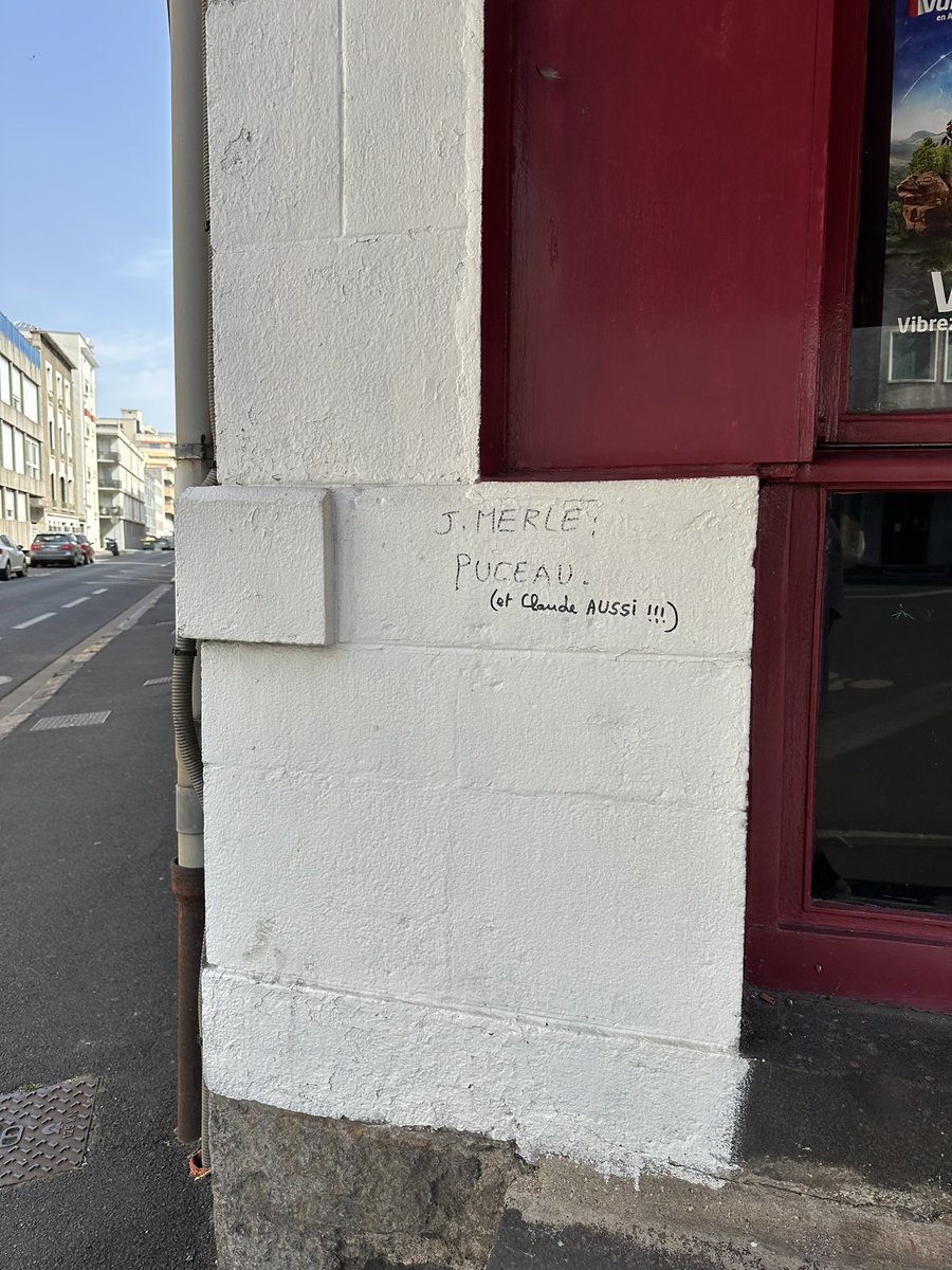 Crinière de feu 🔥 tweet media