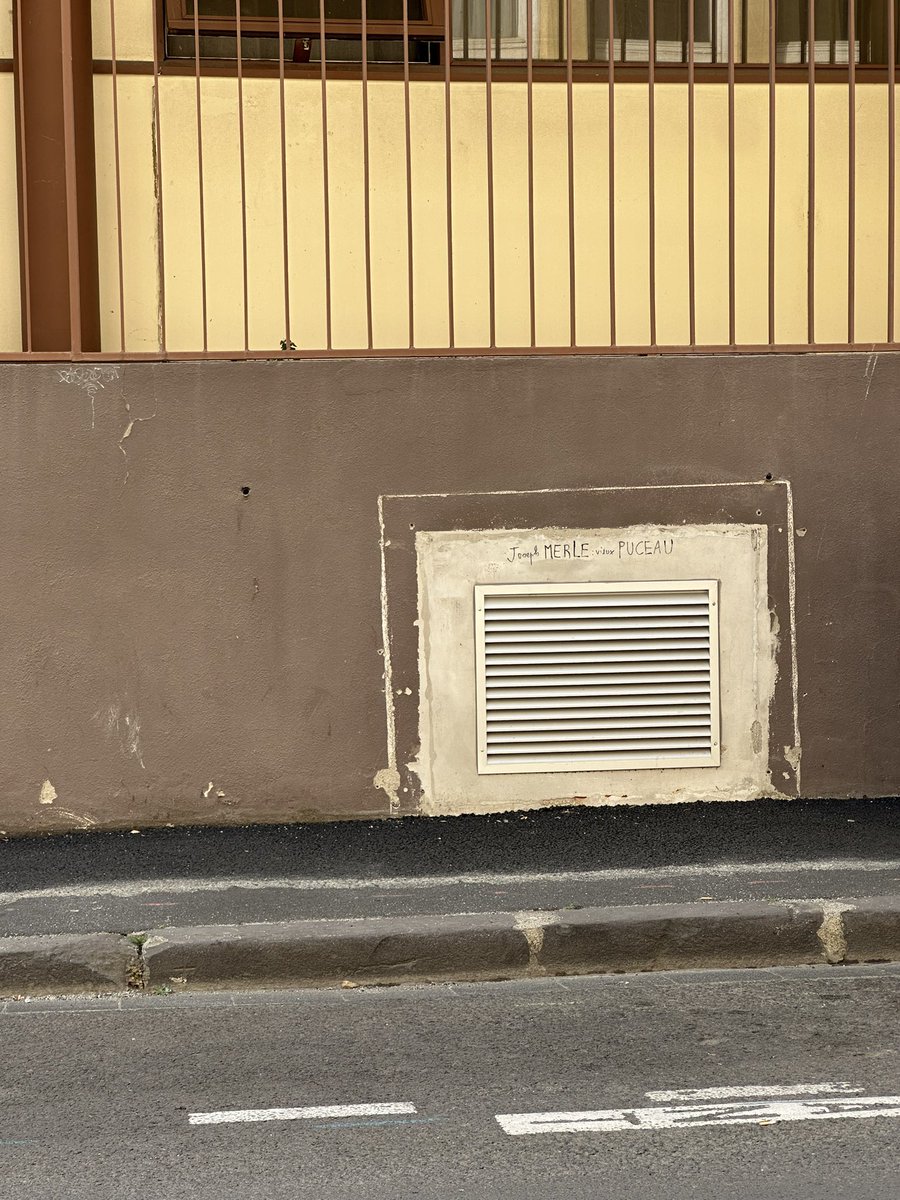 Crinière de feu 🔥 tweet media