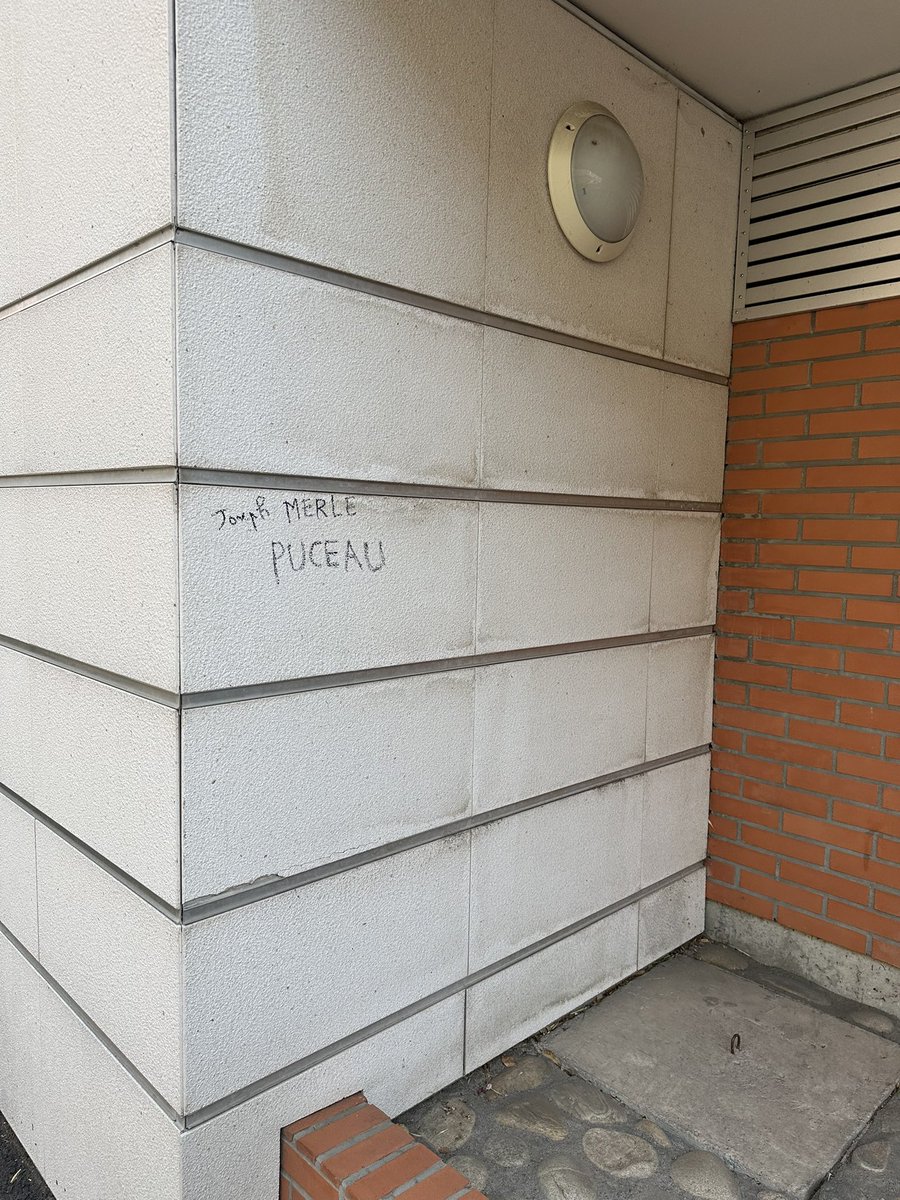 Crinière de feu 🔥 tweet media