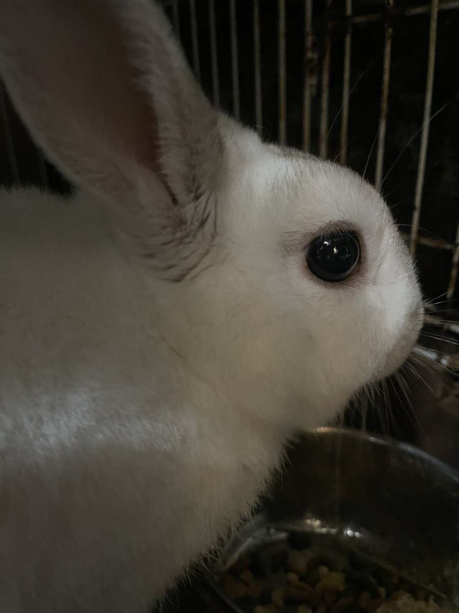 ちょっとそこまで🚙
行ってきます😆❤️