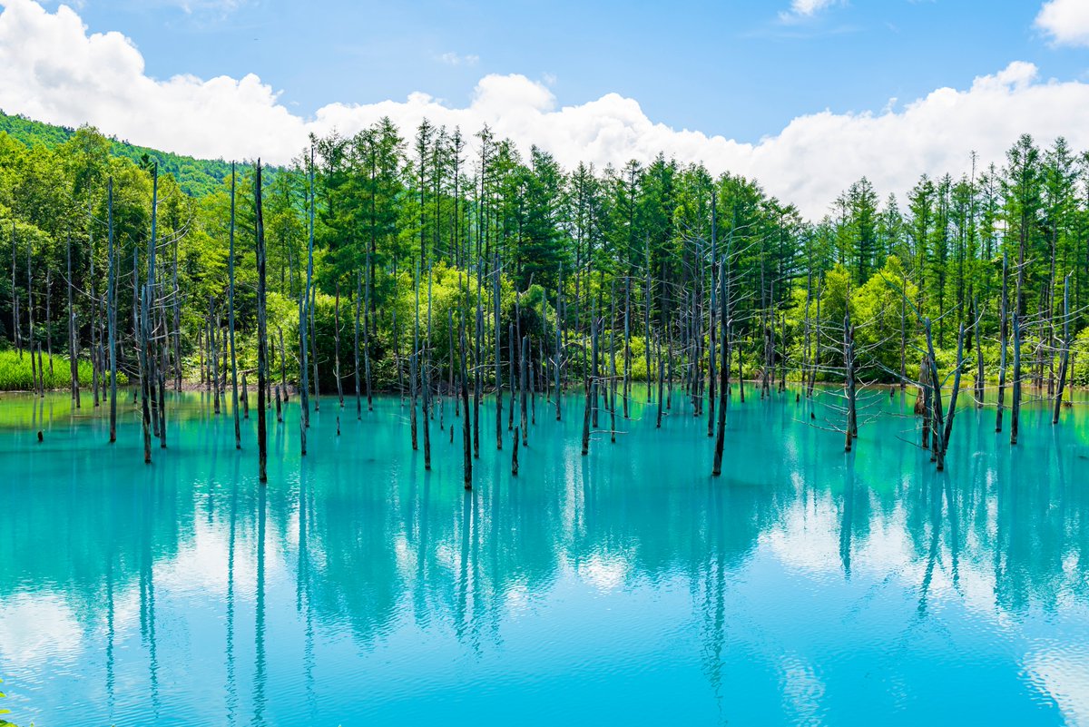 Did you know #Hokkaido stays 5–8°C cooler than Tokyo in summer? It’s the perfect spot to beat the heat! ☀️

➡️ If you're curious about the best places to visit, check out our website: en.japantravel.com/hokkaido