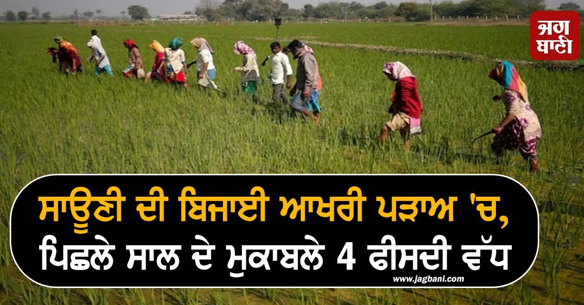 JagbaniOnline's tweet image. ਸਾਊਣੀ ਦੀ ਬਿਜਾਈ ਆਖਰੀ ਪੜਾਅ 'ਚ, ਪਿਛਲੇ ਸਾਲ ਦੇ ਮੁਕਾਬਲੇ 4 ਫੀਸਦੀ ਵੱਧ
jagbani.punjabkesari.in/business/news/…
#SowingOfSauni #Paddy #Pulses #Area