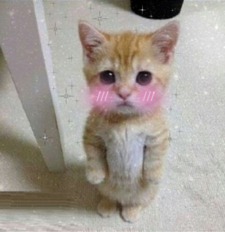 thvsrii's tweet photo. @yesitsme_kiki I could smell the replies were gonna be taegi https://t.co/LEaPSzo6L0