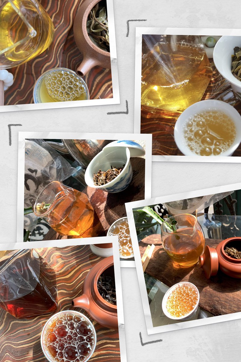 gowiden's tweet photo. Explore our 2025 releases and mid-2020 Puerh teas. Exclusive tasting package (2,000 RMB) for global enthusiasts, plus sample repurchase discounts.

📧 DM or email to claim these treasures: 

#Puerh #rawPuerh #SingleTreeTea #AncientTreeTea https://t.co/OmV8AGO72d