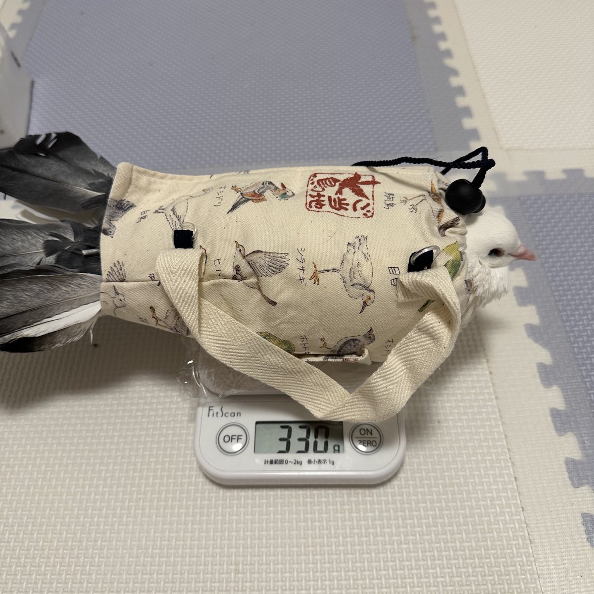 鳥のように Guiano - 鳥 [MV] - YouTube