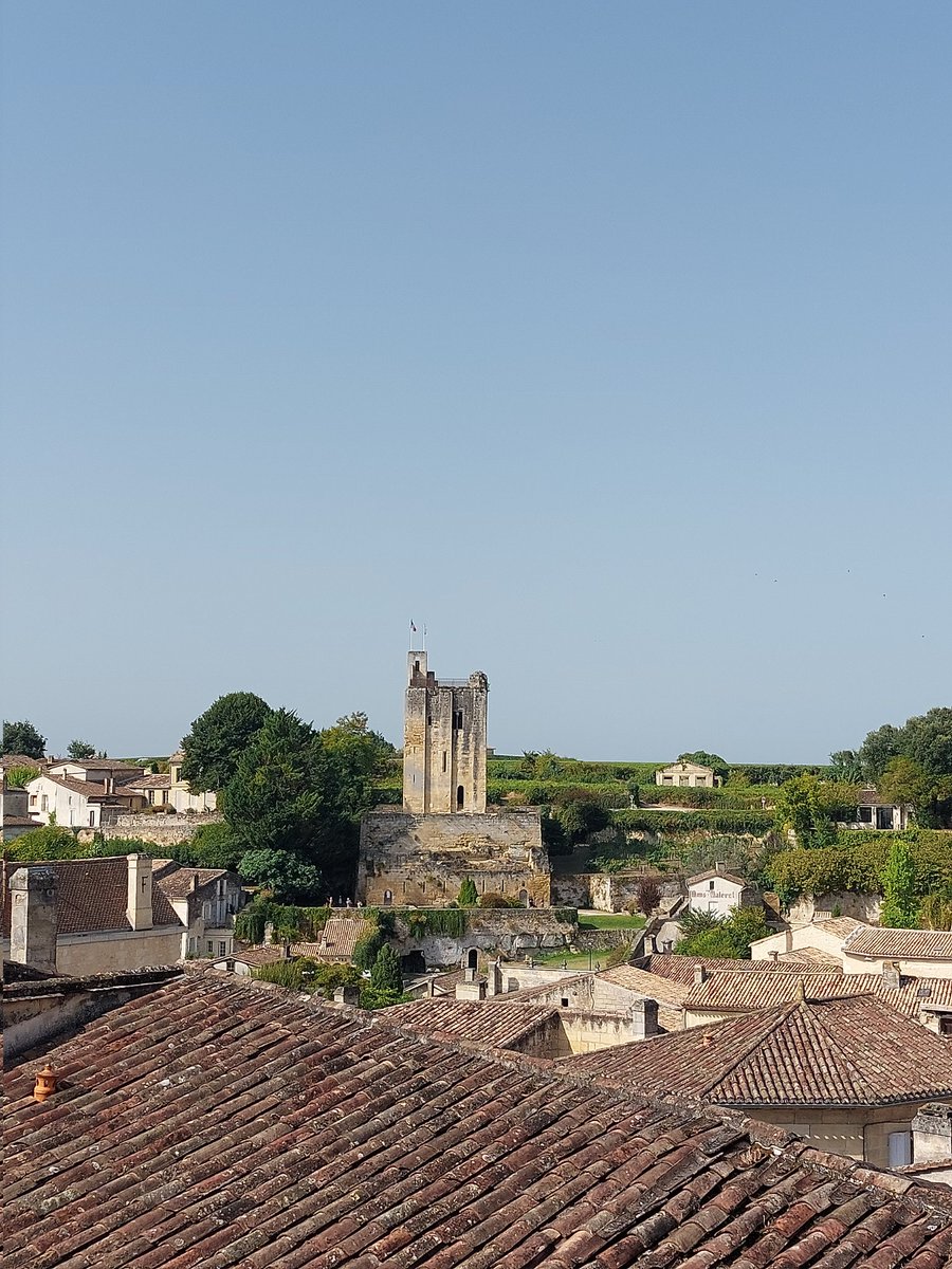 Saint Emilion  sous la canicule 🥵