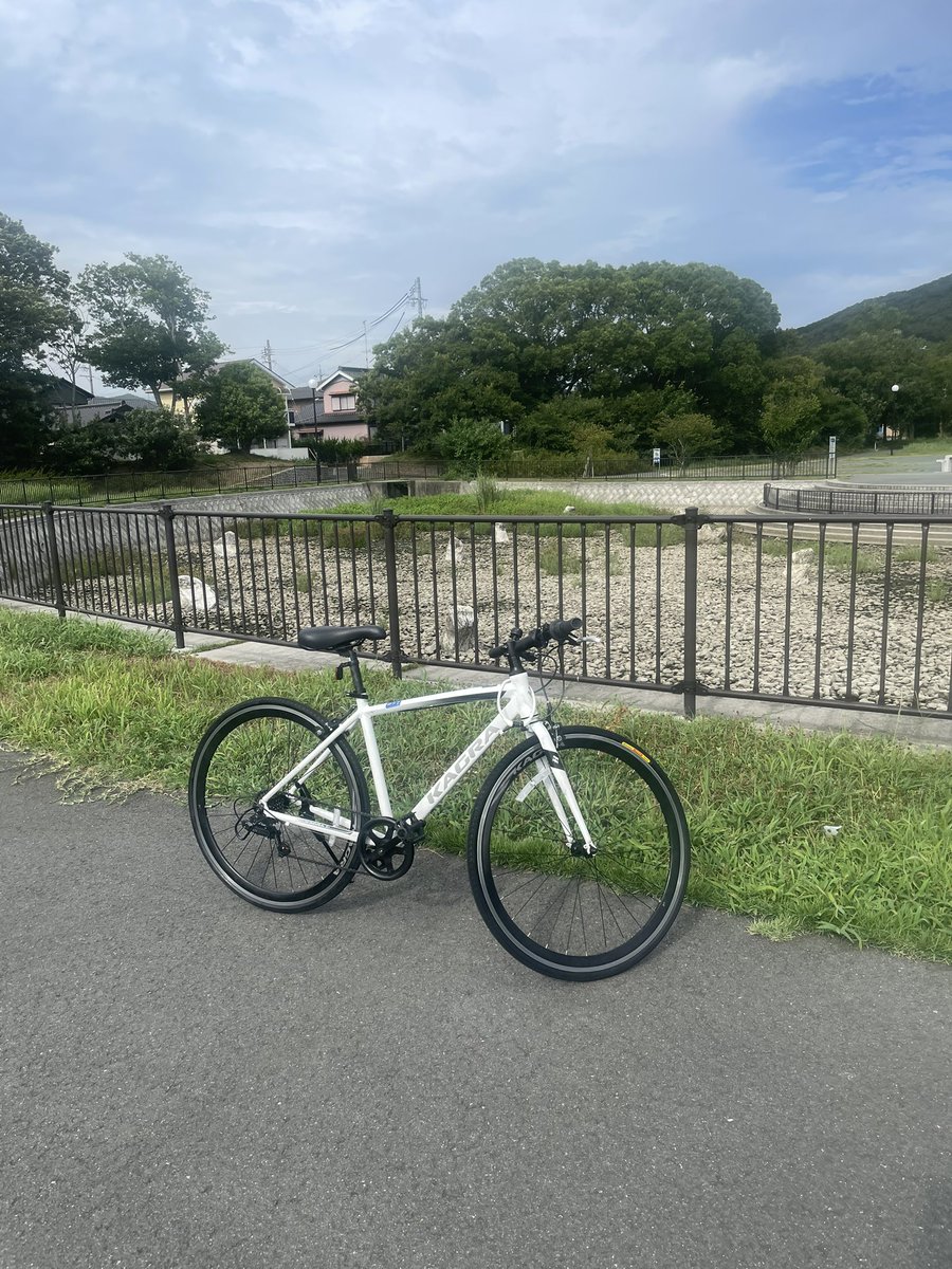 娘の使っている自転車のタイヤ交換をした。
結構走行しているみたいでヒビが入っている。
せっかくだからベアリングまでグリスアップした。リアのボスフリーが外せない！
なんやかんやでグリスは入れた。
締め込みは手締めぐらいでちょうどいい。