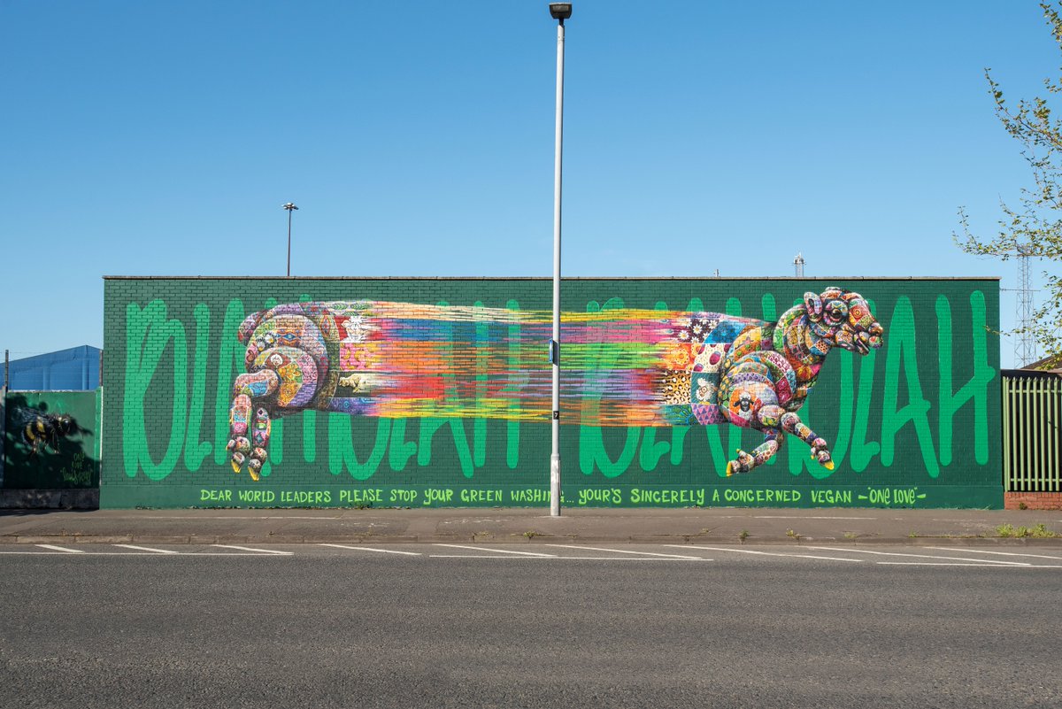 BelfastHarbour's tweet photo. Another gorgeous mural from the recent @SeedheadArts #HTN25 Festival, created by @louismasai, and located at Duncrue Street.

Thank you to @StreetArtAtlas for sharing these amazing photos! https://t.co/NdGqEW0ViJ