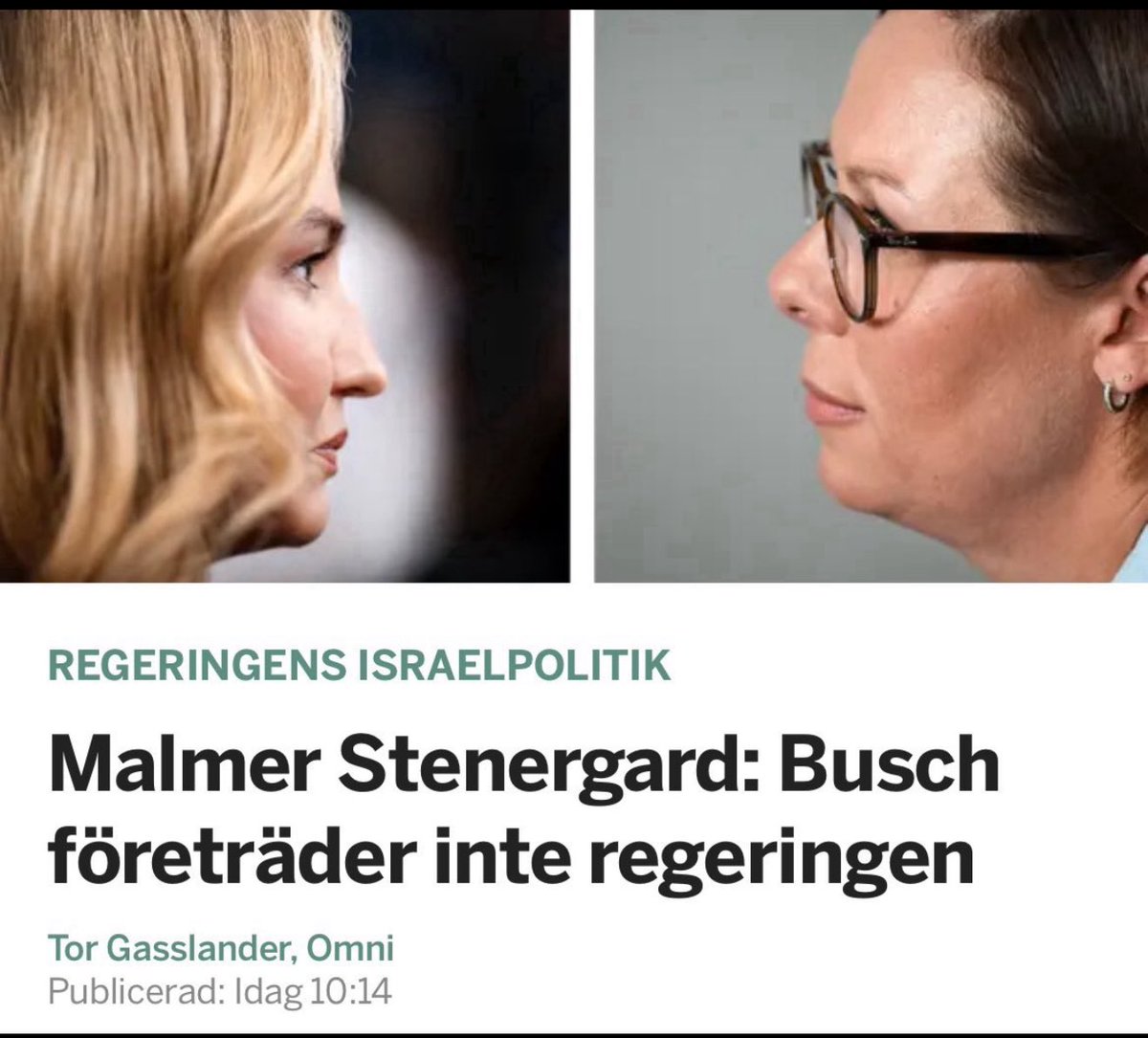 Regeringen fattar kollektiva beslut. Det kan därför bara finnas en regeringslinje. 
Därmed uppstår frågan: kan Sverige ha en vice statsminister som inte företräder regeringen?