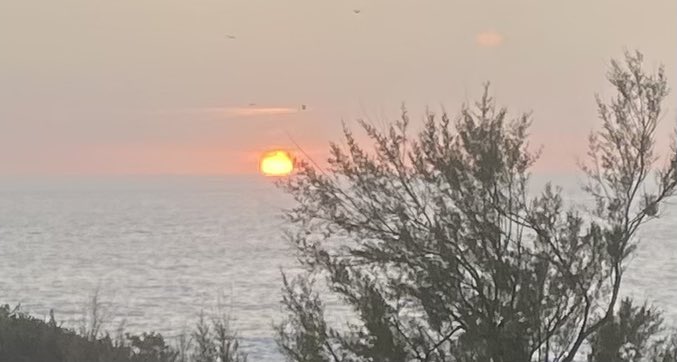 Manuel Portela Romero tweet media