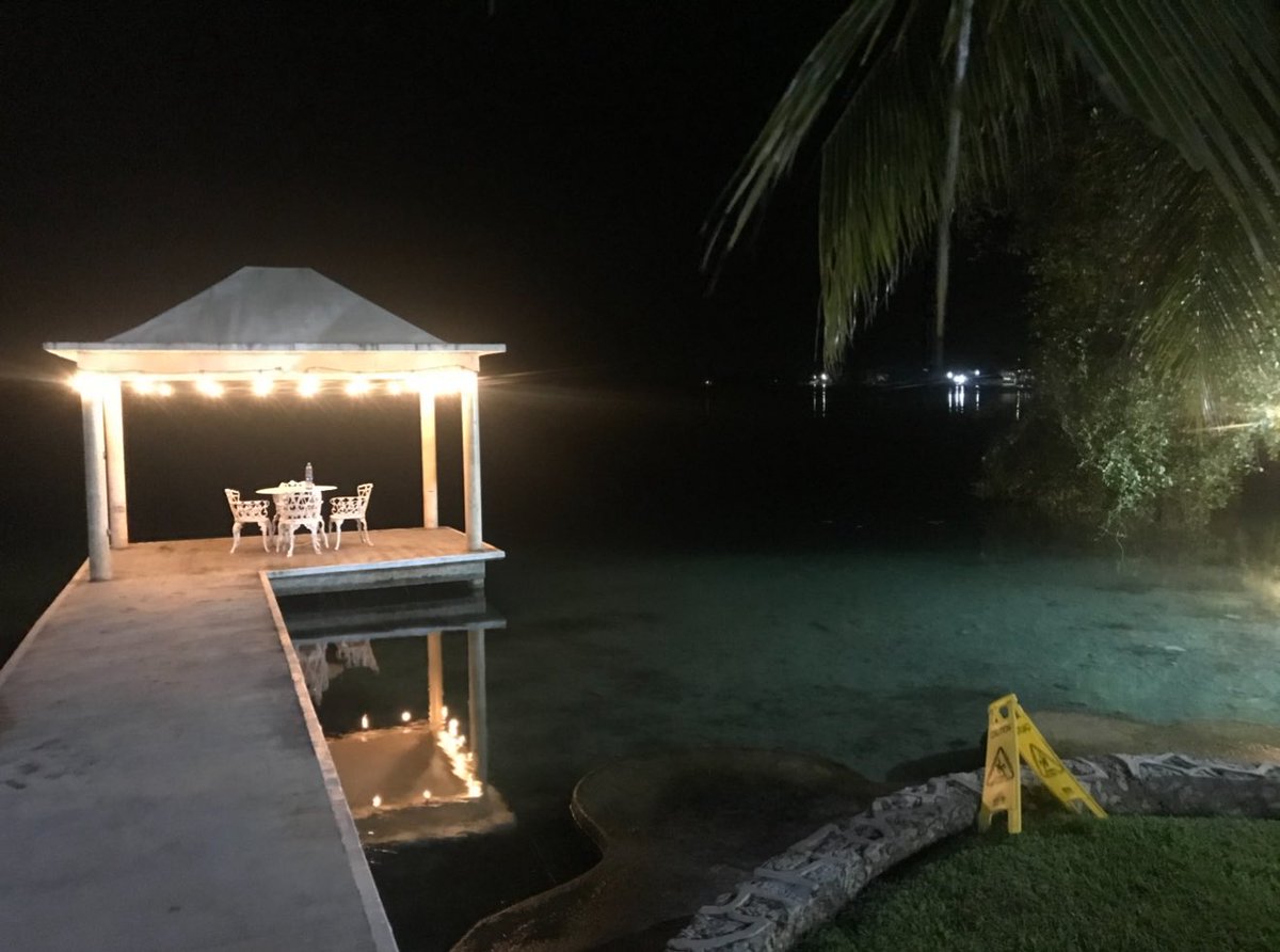 Cryptos NF ⏳ tweet media