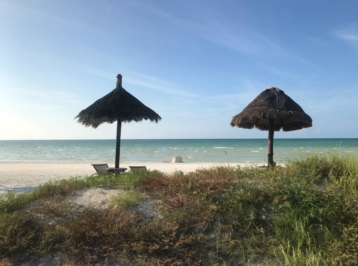 Cryptos NF ⏳ tweet media