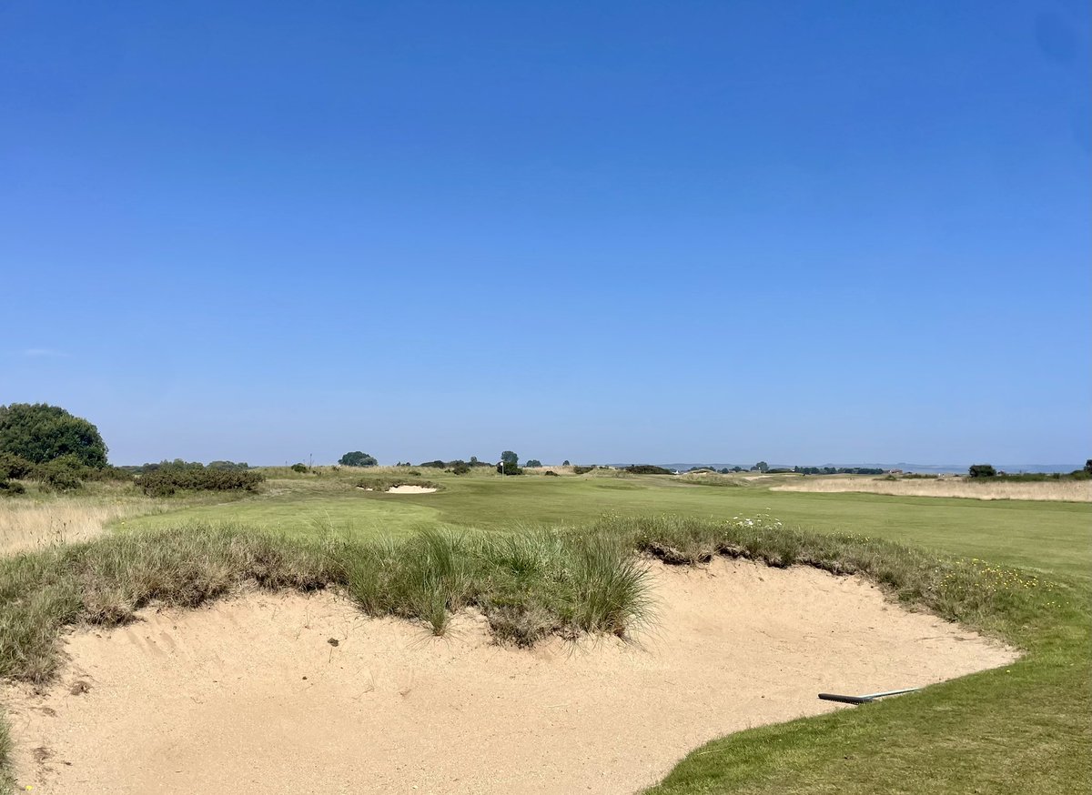 Joe Neale tweet media