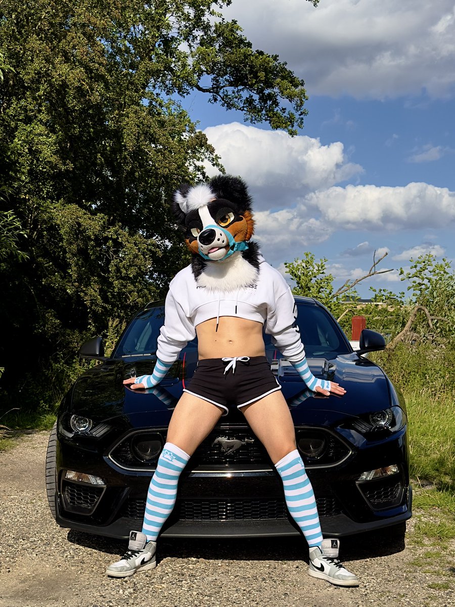 Careful… I might just drive you wild.🐾💙

📸<a href="/Skye960/">Skye</a>