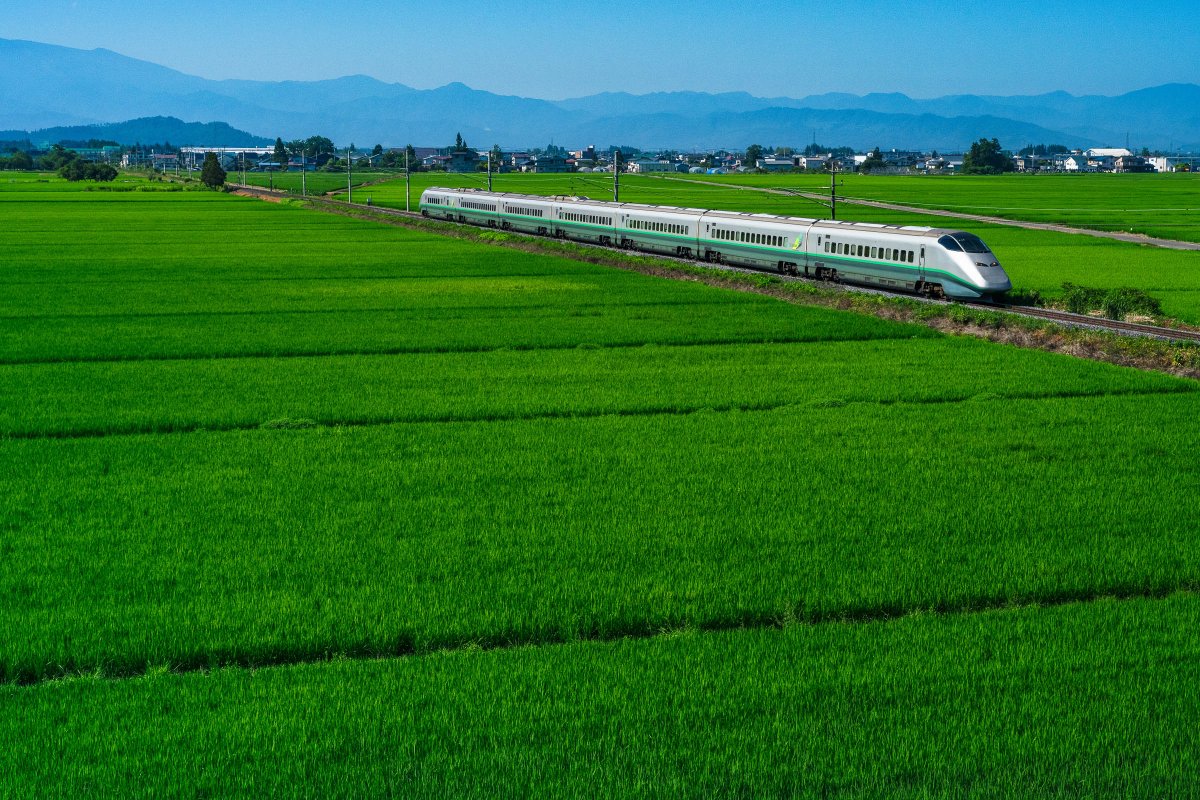 いつき (@itsukibut) / Posts / X