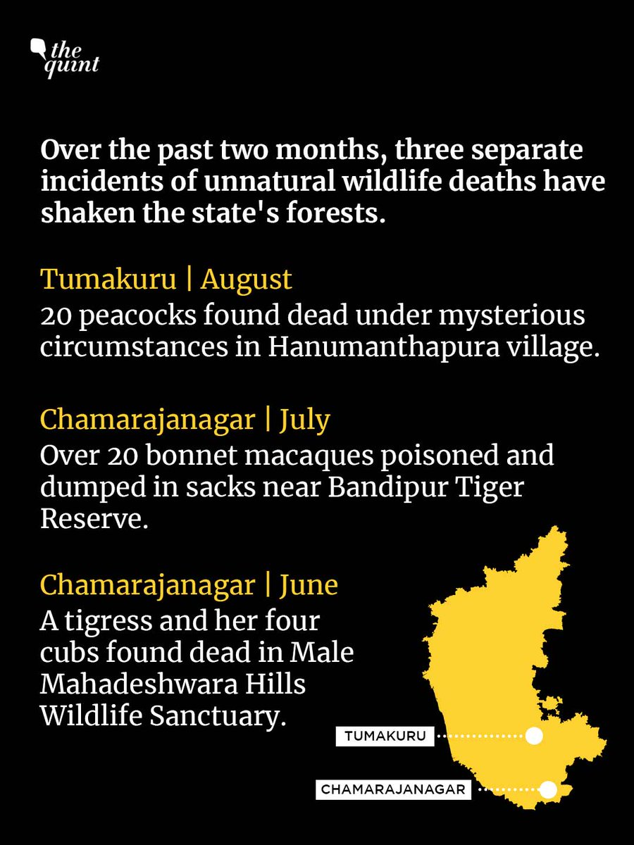 The Quint tweet media