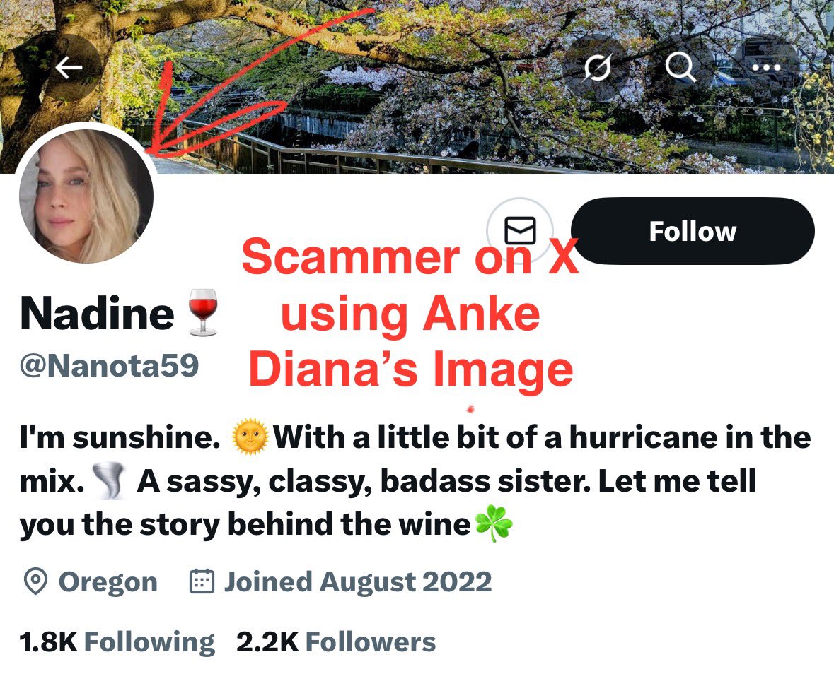 Fxcryptox's tweet photo. BEWARE: Beautiful models in your DM want to introduce you to easy passive income with Crypto AI bots on Web3. Sound too good to be true? It is. Scammer I’ll keep talking about is @Nanota59 —stole German model Anke Diana’s images to lure victims. Real IG account: @ankedianamodel https://t.co/8Ycl3ED4J0