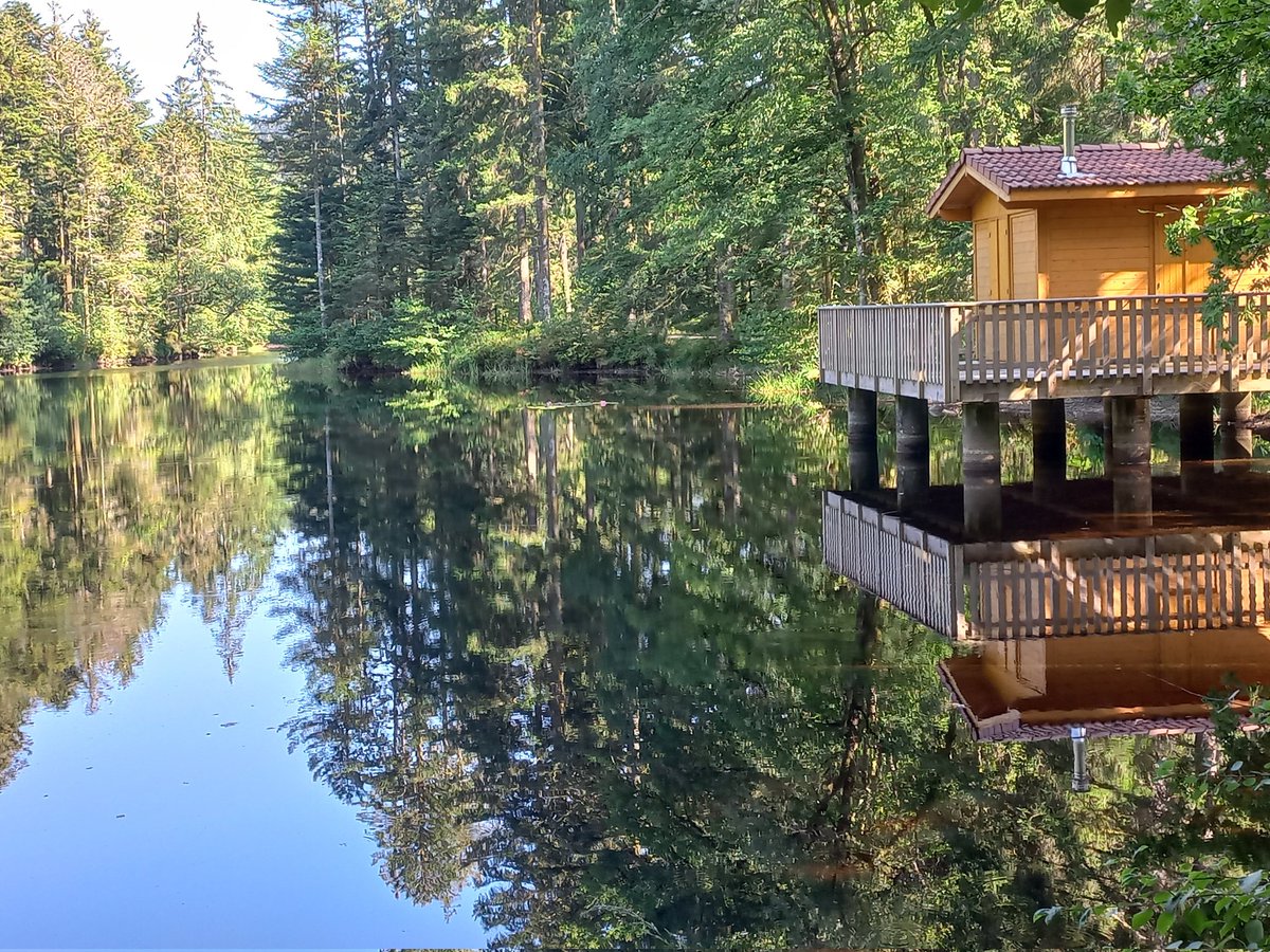 jmivalde's tweet photo. Vous reprendrez bien un peu de #Vosges ? 😊 https://t.co/hO7O1hYbG1