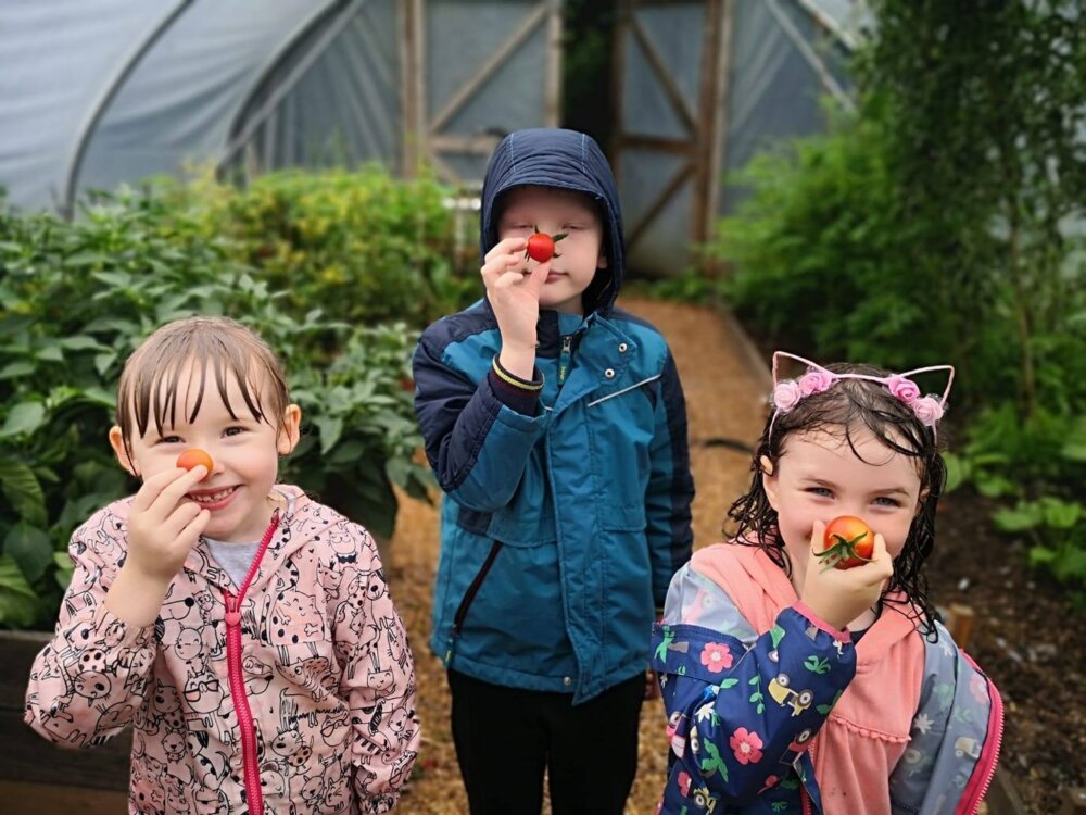 National Lottery Good Causes tweet media