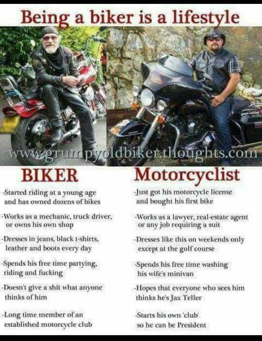 Norðmaðr 🇩🇪 🇳🇱 🇸🇪 tweet media