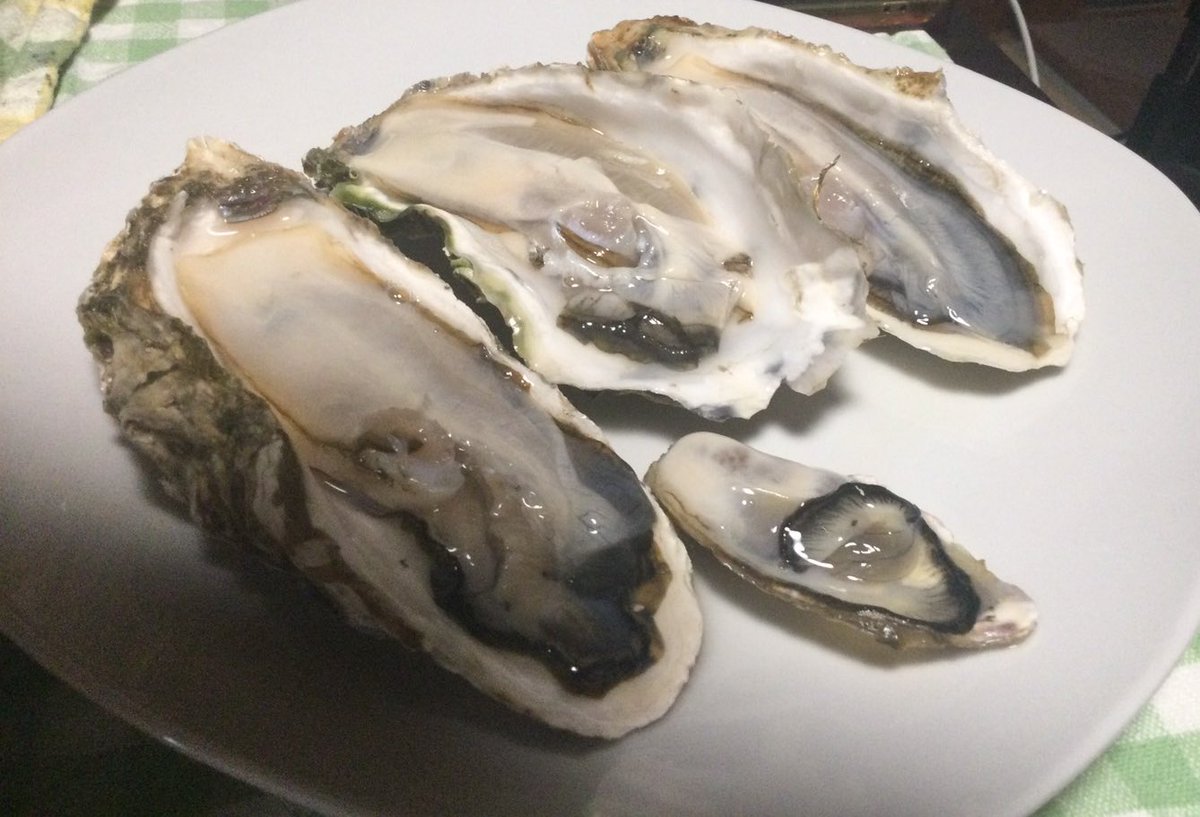 人生初の生牡蠣食べる🦪