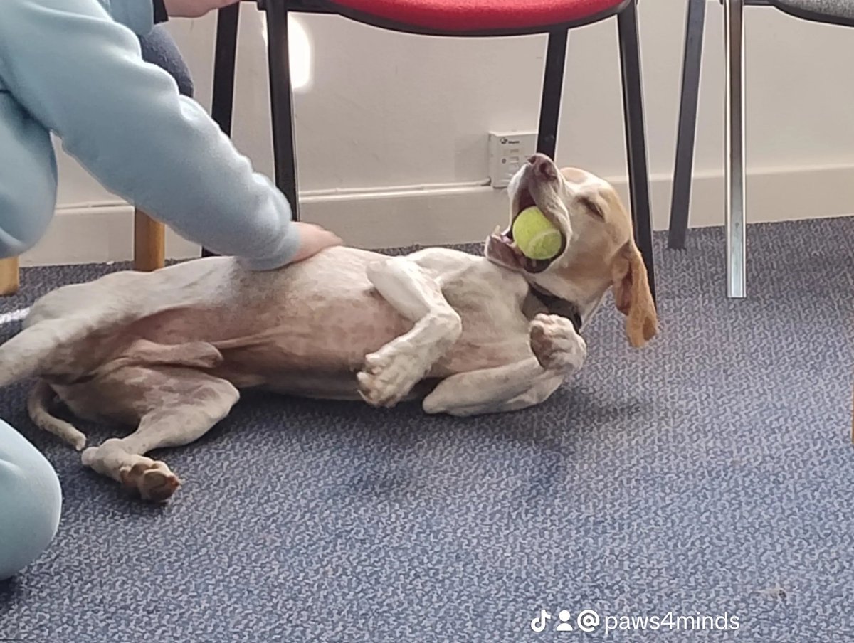 Noodle supports #adults #children.

We work with the NHS, education providers, youth justice support teams.

If we can support people in understanding mental health &amp; wellbeing from a young age, we can reduce many mental health issues #prevention is better than the #cure