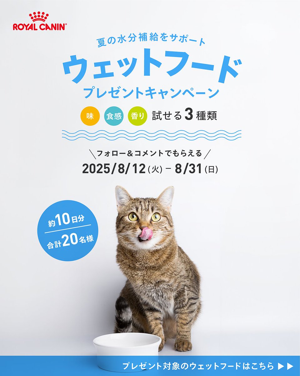 RoyalCaninJP's tweet photo. ／
フォロー＆リポストで簡単応募
＼
味、食感、香り3種類が試せるウェットフードセットプレゼント💧

抽選で20名様に、夏の愛猫の健康をサポートする特別セットが当たるキャンペーン🎁

応募方法は @RoyalCaninJP をフォローして、8/31(日)までに本投稿をリポストするだけ🐱

規約はリプライへ💡 https://t.co/xumummPc9G