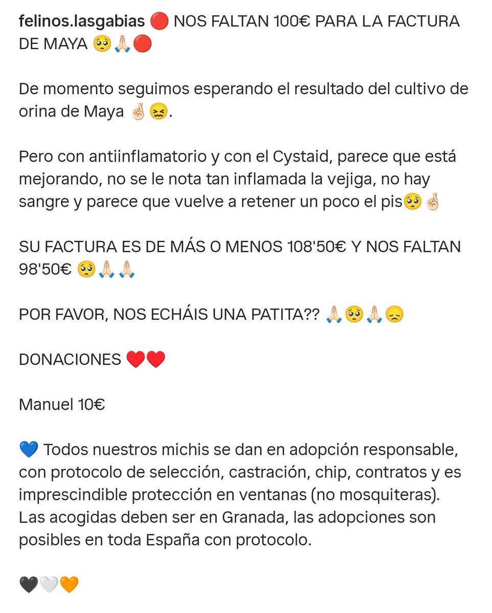 Felinos_Gabias's tweet image. 🔴 NOS FALTAN 100€ PARA LA FACTURA DE #MAYA 🥺🙏🏻🔴 #ayuda #granada