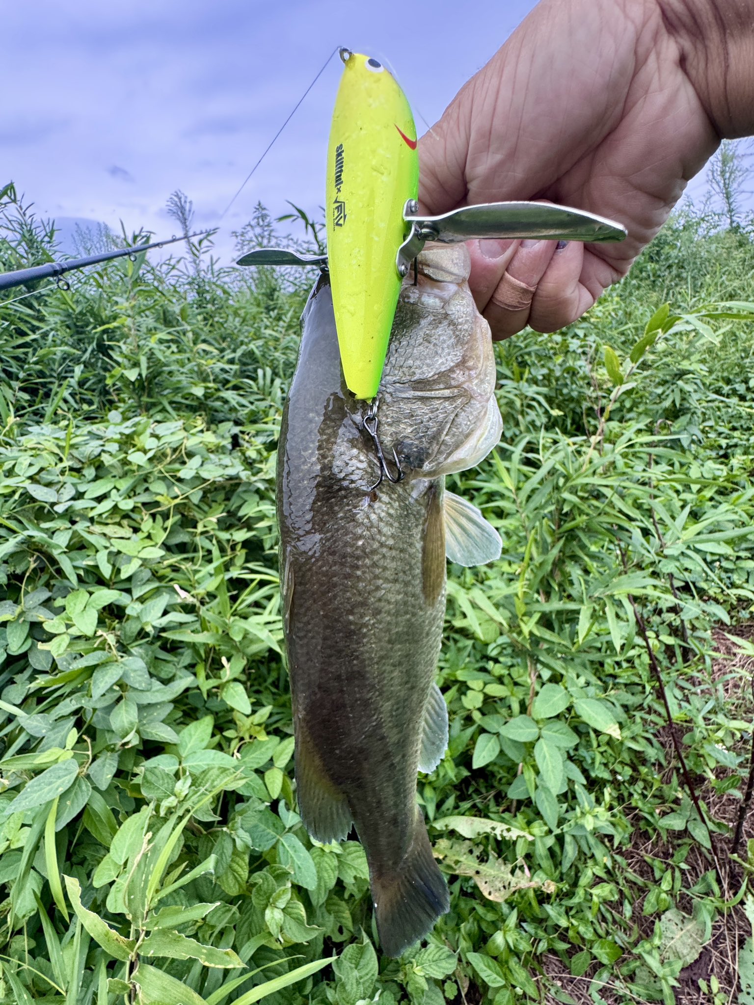 ヤマトクローラー　ブラックサンダー　スキルフル ヤマトクローラー ブラックサンダー スキルフル Yahoo