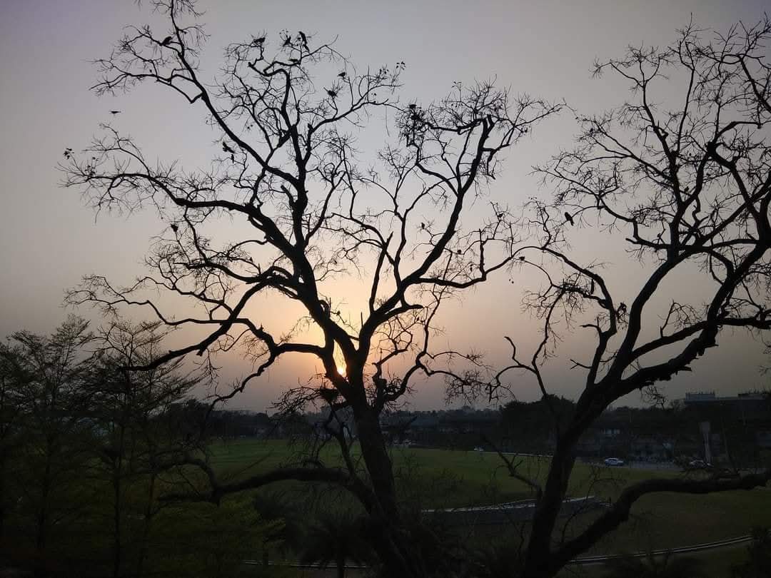 A thousand words couldn’t
bring you back…
I know this because I tried,
neither could a thousand tears…
I know this because I cried,
you left behind a broken heart and
happy memories too…
but I never wanted memories..
I only wanted YOU My BeLoved.