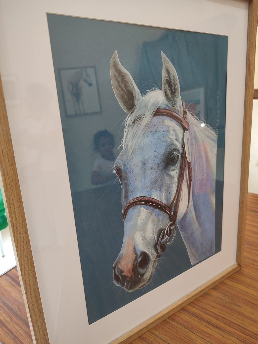 Semana cultural en Pozuelo de Tabara, exposición en el ayuntamiento de @4quesos_ilustracion