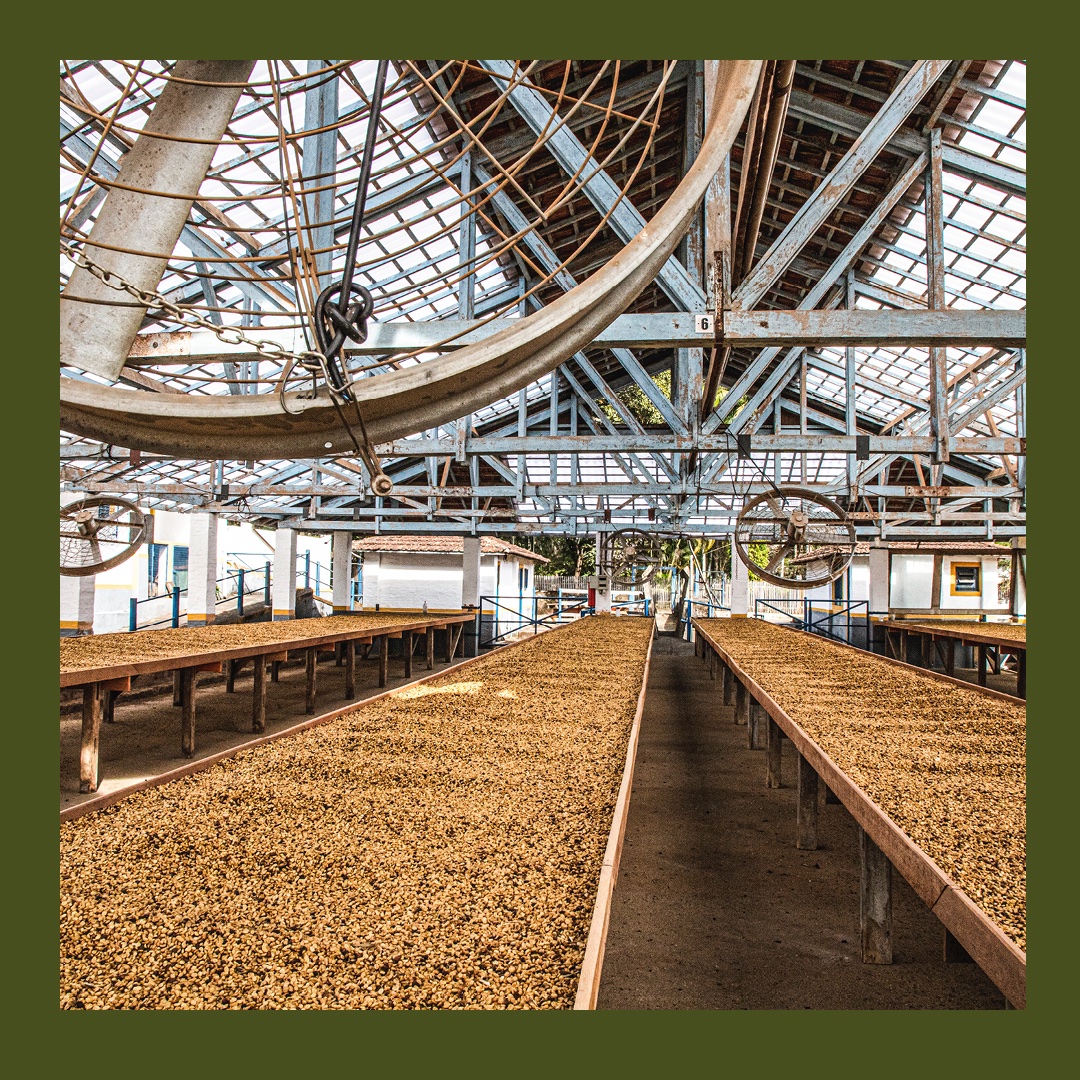 We have a NEW decaf for you from Brazil. It works in espressos, your favourite filter method, or throw some ice in there and chill!

Expect flavours of Chocolate, Dried Fruit and Caramel.

Available now from our website:
carvetiicoffee.co.uk/products/decaf

#coffee #decaf #decafcoffee