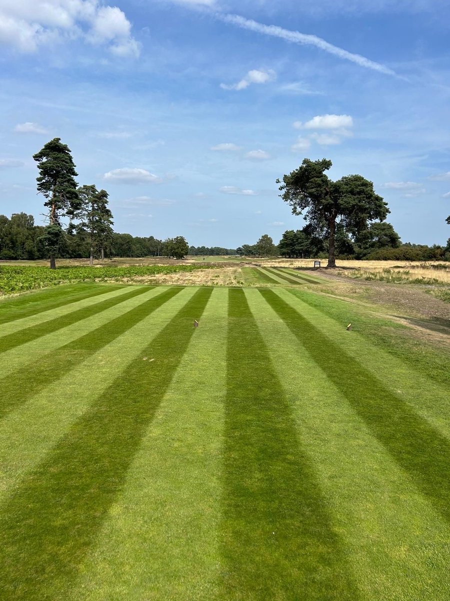 (2/2) Some great scores from the Juniors too, with Lily's 37 points taking the Individual win

Huge thanks to Hornsea Lions for the loan of the Minibus and to Graham for driving

And to all the members of @HornseaGolfClub who make these events possible through Fundraising events