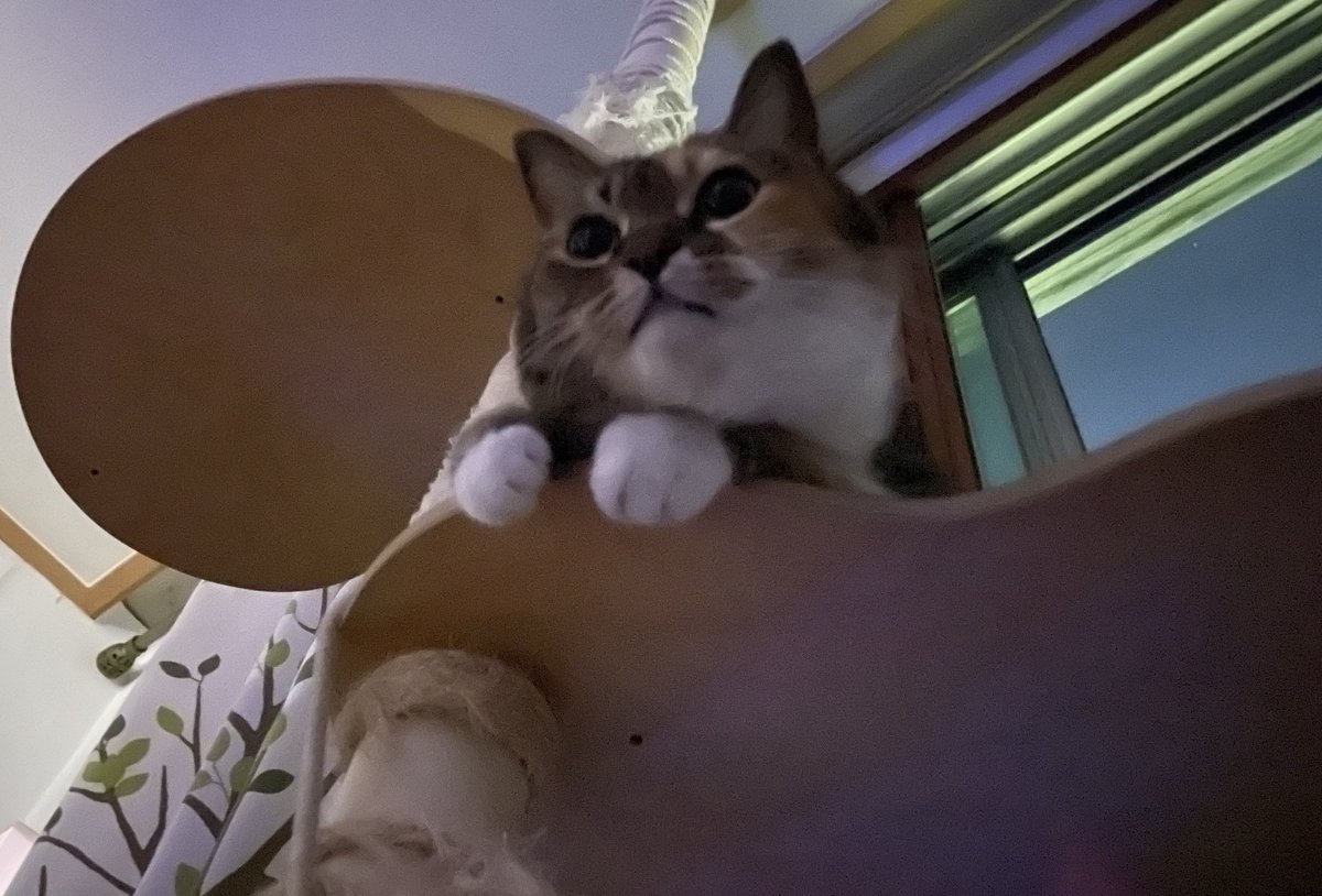 kib🕯 (@kibx2) on Twitter photo 