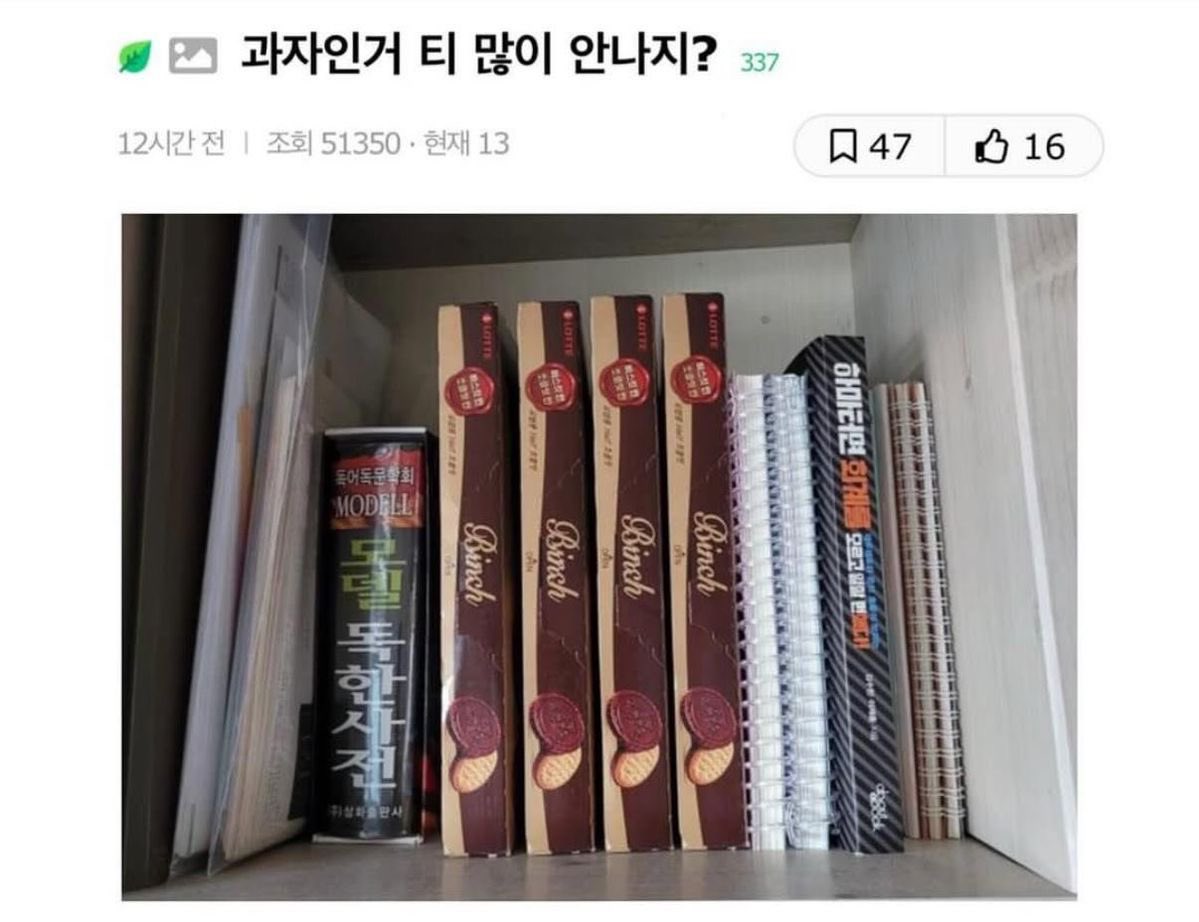 랜덤짤 (@mank9241) on Twitter photo 