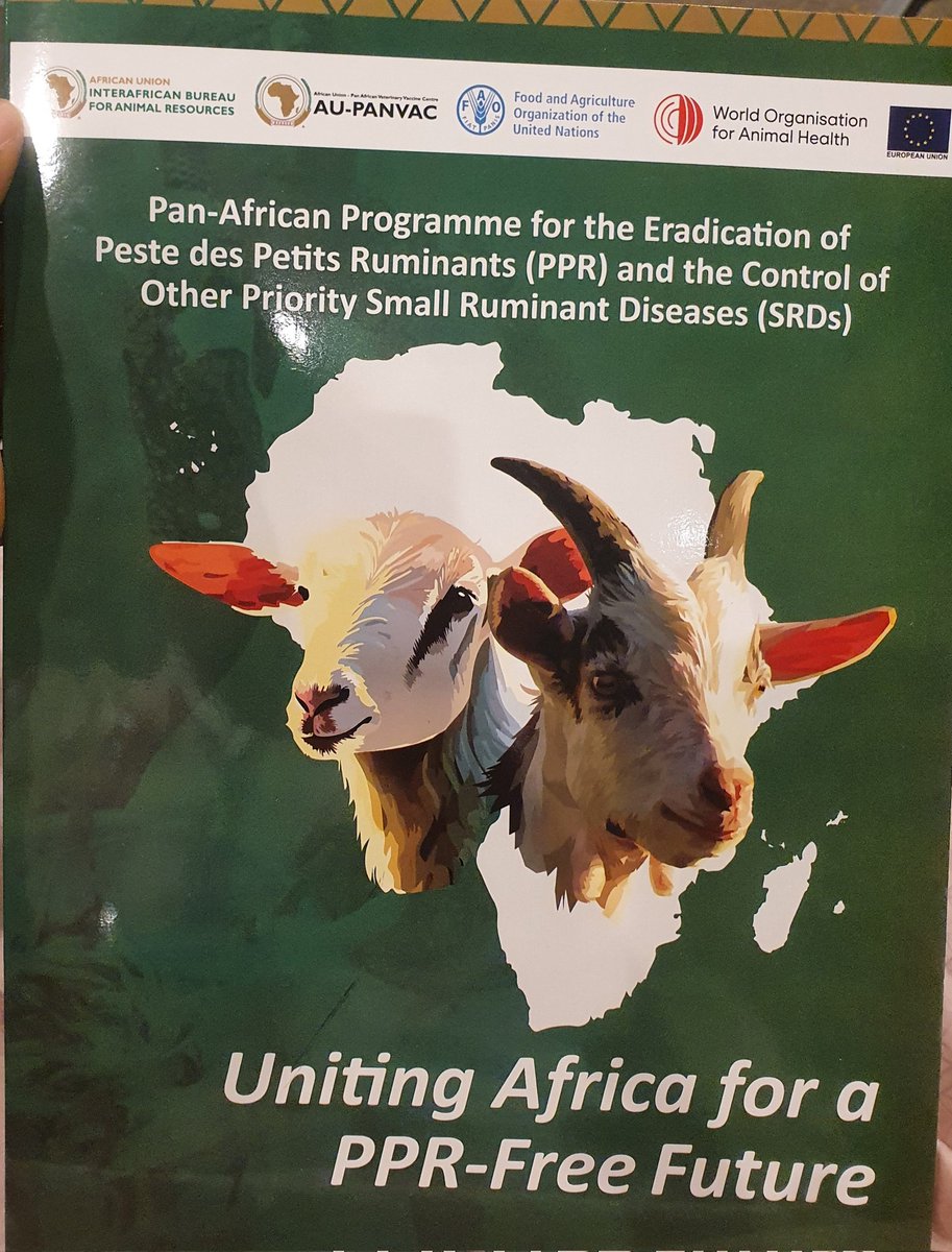 CORETHerders's tweet photo. #CORET is attending the meeting on the eradication of Peste ded Petits Ruminants (PPR) and the Control of Other Priority Small Ruminants Diseases in West Africa with the theme: Accelerating PPR Eradication in West Africa, taking place in Abidjan, Côte d'Ivoire. https://t.co/sejzEoni1A