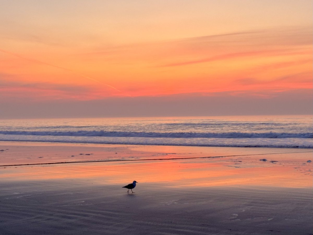 Realtor Rick 💙 (@rick03907) on Twitter photo Summer scene #ogunquit #maine <a href="/JeffNBCBoston/">Jeff Saperstone</a> <a href="/SurfSkiWeather/">Tim Kelley</a> <a href="/1DegreeOutside/">1DegreeOutside</a> <a href="/DeniseWX/">Denise Isaac</a> <a href="/CecyDelCarmenTV/">Cecy del Carmen</a> <a href="/MichaelPageWx/">Michael Page</a> <a href="/susantran/">Susan Tran</a> <a href="/KatSotnik/">Kathryn Sotnik</a> <a href="/JGodynick/">Justin Godynick NBC10</a> <a href="/jasonnappiwx/">Jason Nappi</a> <a href="/StormHour/">#StormHour</a> Summer scene #ogunquit #maine <a href="/JeffNBCBoston/">Jeff Saperstone</a> <a href="/SurfSkiWeather/">Tim Kelley</a> <a href="/1DegreeOutside/">1DegreeOutside</a> <a href="/DeniseWX/">Denise Isaac</a> <a href="/CecyDelCarmenTV/">Cecy del Carmen</a> <a href="/MichaelPageWx/">Michael Page</a> <a href="/susantran/">Susan Tran</a> <a href="/KatSotnik/">Kathryn Sotnik</a> <a href="/JGodynick/">Justin Godynick NBC10</a> <a href="/jasonnappiwx/">Jason Nappi</a> <a href="/StormHour/">#StormHour</a>