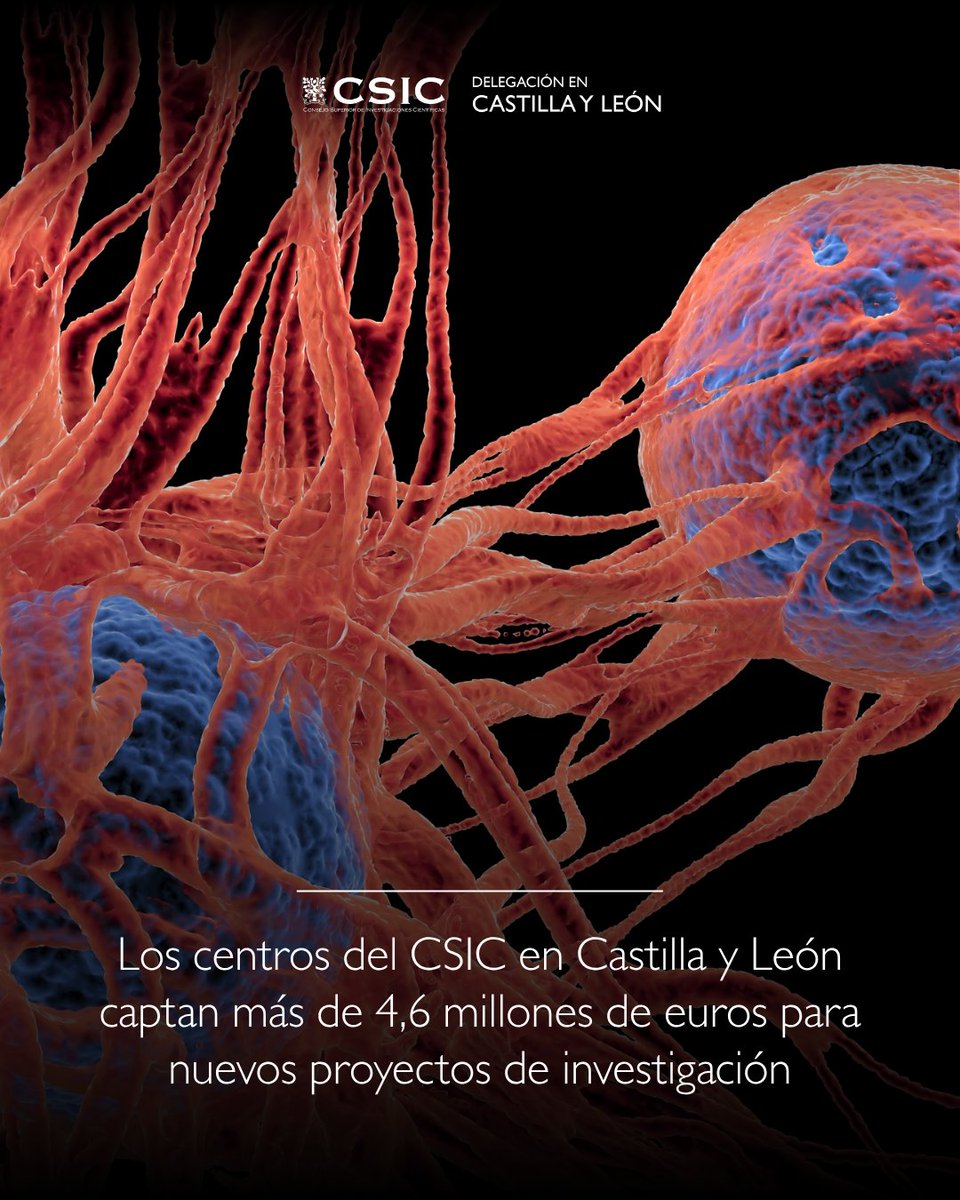 CSIC Castilla y León tweet media