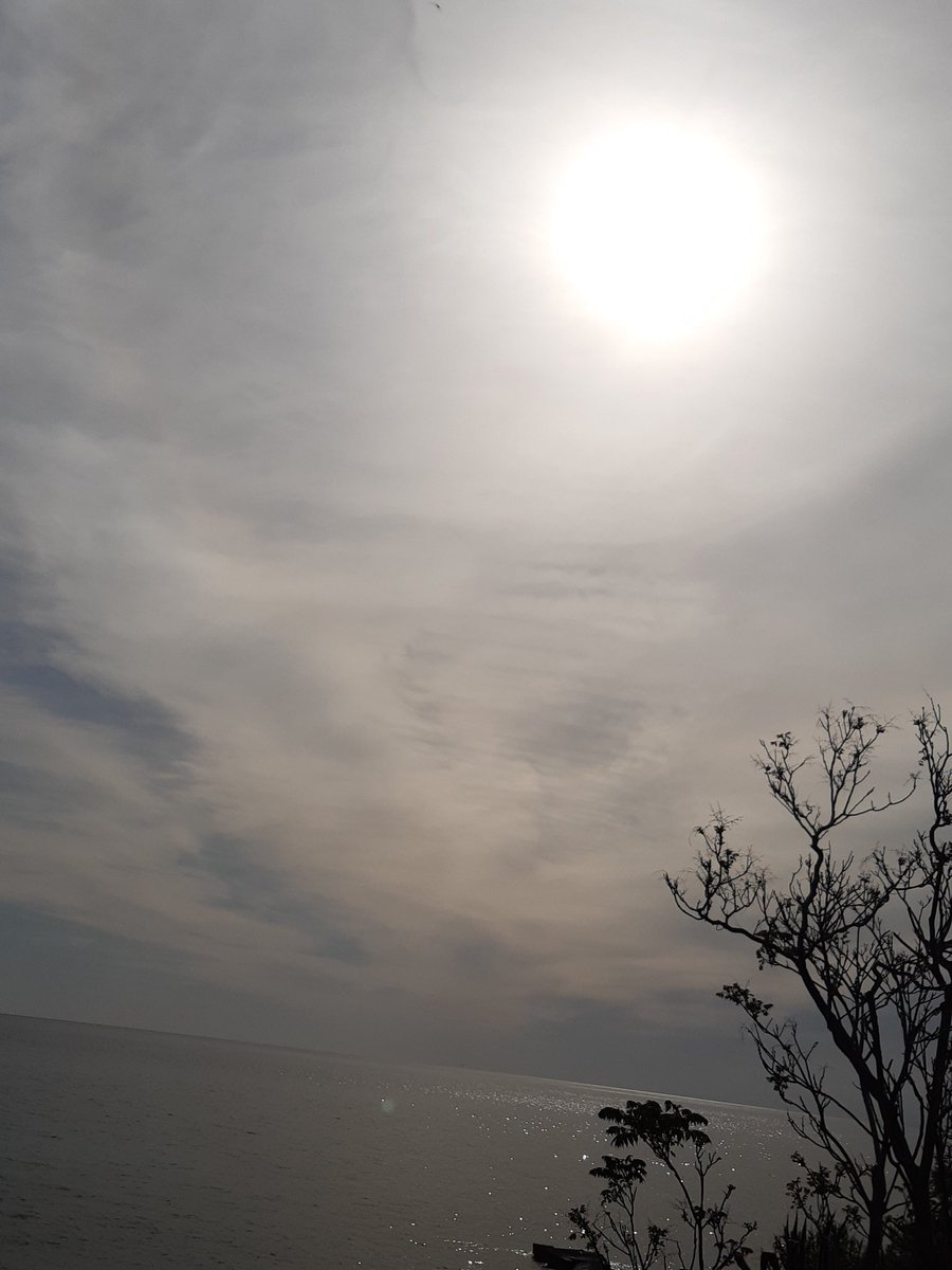 Mualla_Susy's tweet photo. Oh sole, nel tuo calore, 
Il mondo si desta.
#TuFammiilDisegnoDelSole  
#VentaglidiParole https://t.co/hUalVkoJZ4